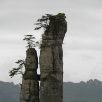 看看像什么
