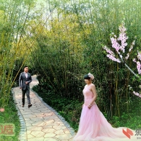 七夕集锦：愿得一人心，白首不相离