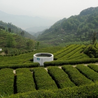 茶园灌溉水池