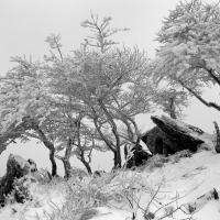 风雪迷漫爬扁山