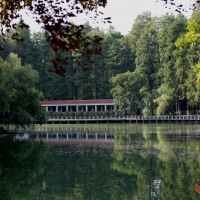 盛夏游园