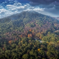 武汉东湖磨山曾院平摄影