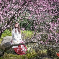 在那鲜花盛开的季节曾院平摄影
