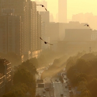 雨后的空气好清新，张开翅膀任翱翔