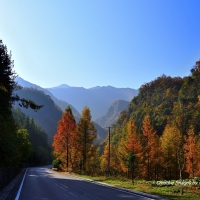 湖北房县岩屋沟秋游（一）
