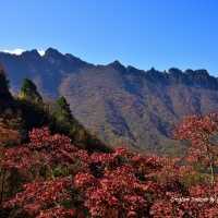 湖北房县岩屋沟秋游（二）