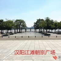 汉阳江滩留影