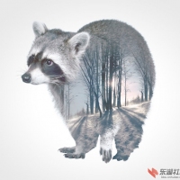 动物风景双重曝光摄影
