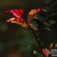 重生曾院平摄影