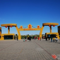 沙漠金波林海·金塔胡杨林