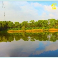 金银湖湿地公园全景图
