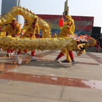 新春舞龙会