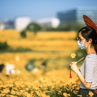 战地黄花分外香 曾院平摄影