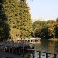 夕阳下的公园