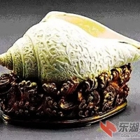 罕见的贝壳雕刻