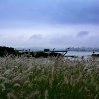 秋雨朦胧