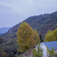 大山深处