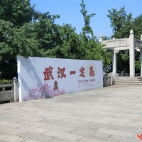 武汉一定赢
