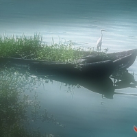 思乡曲 曾院平摄影